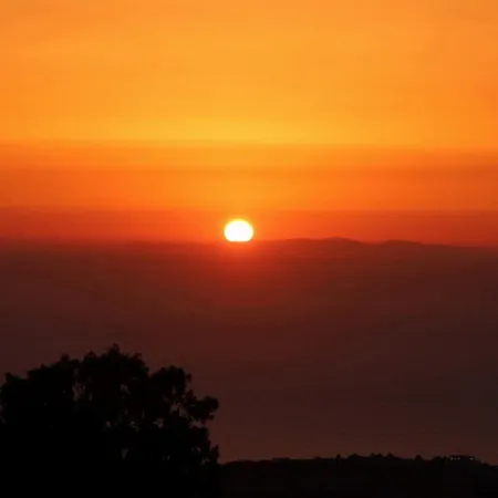 Dali Danae